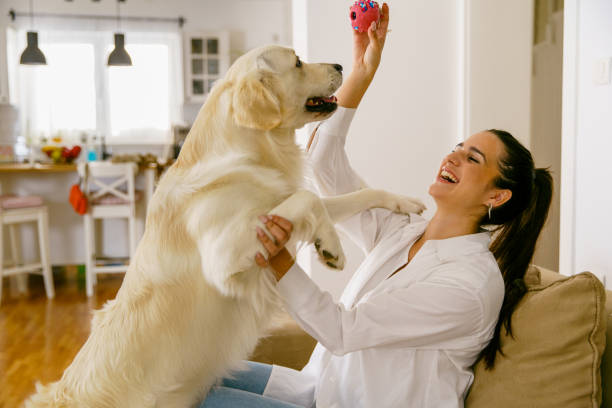 istock Woman playing with her dog at home 1484782062