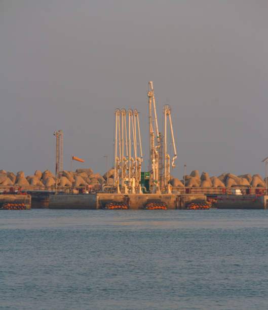 Loading arm for loading and unloading fluid cargoes to ship