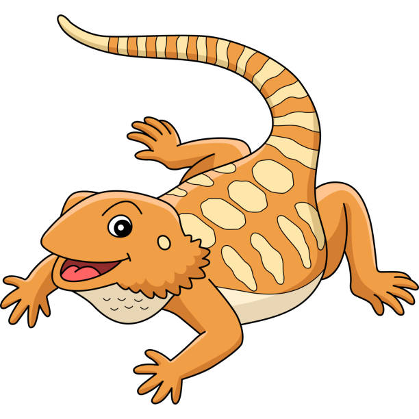 Bearded Dragon Animal Cartoon Colored Clipart This cartoon clipart shows a Bearded Dragon Animal illustration bearded dragon cartoon stock illustrations