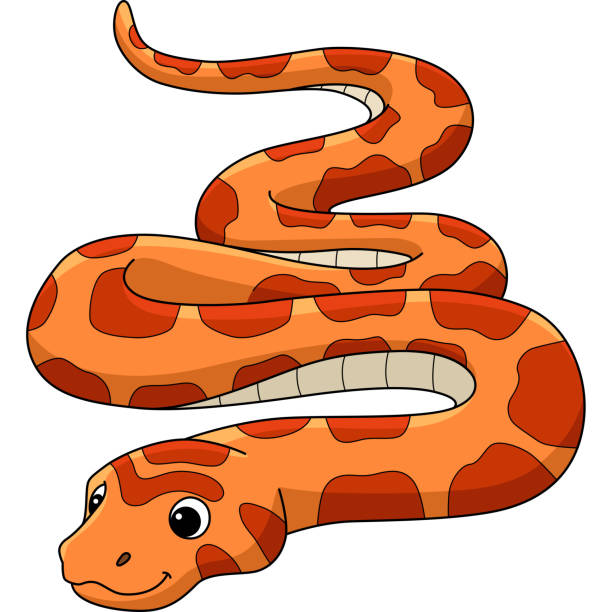 corn snake animal cartoon kolorowy clipart - rat snake illustrations stock illustrations