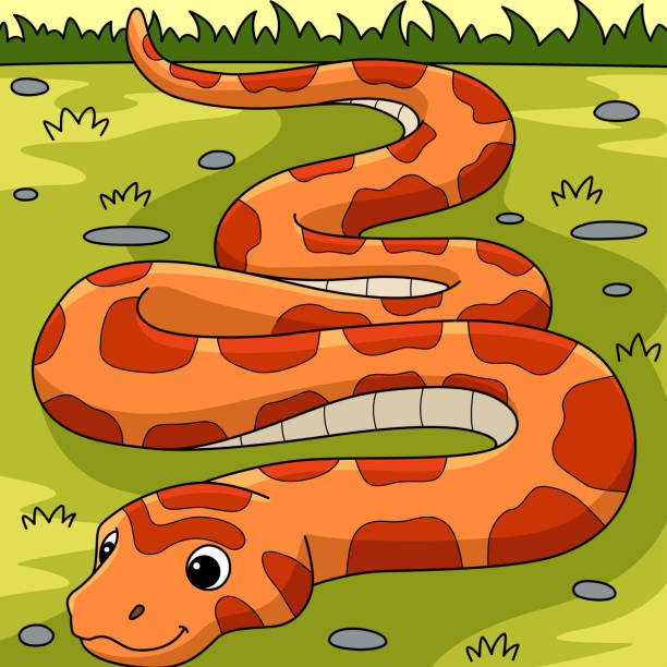 corn snake animal kolorowa ilustracja kreskówki - rat snake illustrations stock illustrations