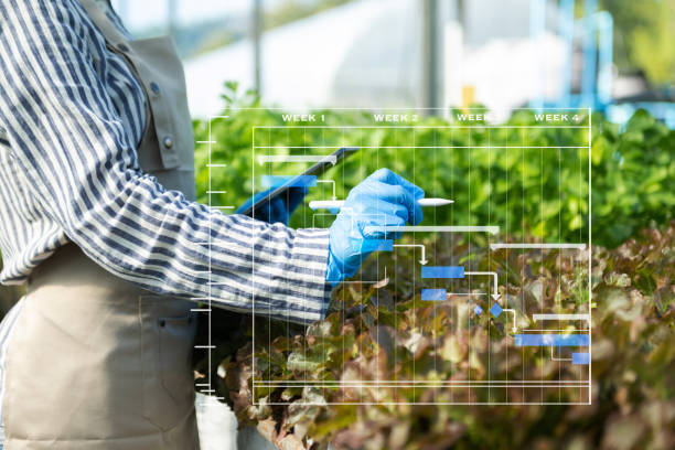 istock Farmer woman using digital tablet computer in field, technology application in agricultural growing activity, 1484786095