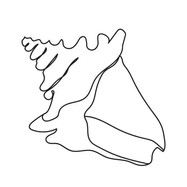 Vector illustration of One line drawing of a shell. Hand drawn outline marine illustration of seashell.