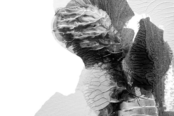 istock black white abstract acrylic painting color texture on white paper background by using rorschach inkblot method 1484789084