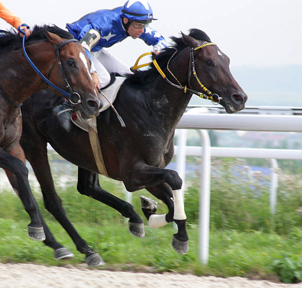 istock Jockeys racing horses neck and neck 148479150