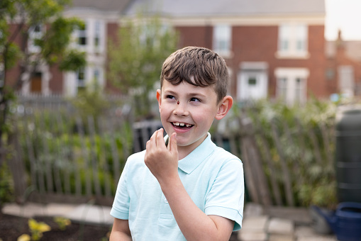 Young boy laughing with a ladybird on his face while visiting his family allotment. The allotment is located in North Shields.