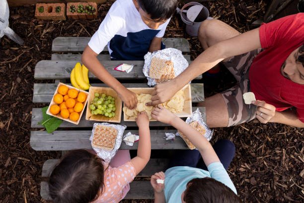 Sharing a Picnic Directly above shot of a family sitting around a table having a picnic lunch at an allotment . The allotment is located in North Shields. family eating potato chips stock pictures, royalty-free photos & images