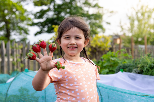 Young girl smiling at the camera with the focus on her fingers that have strawberries on them. She is standing in an allotment that is located in North Shields.