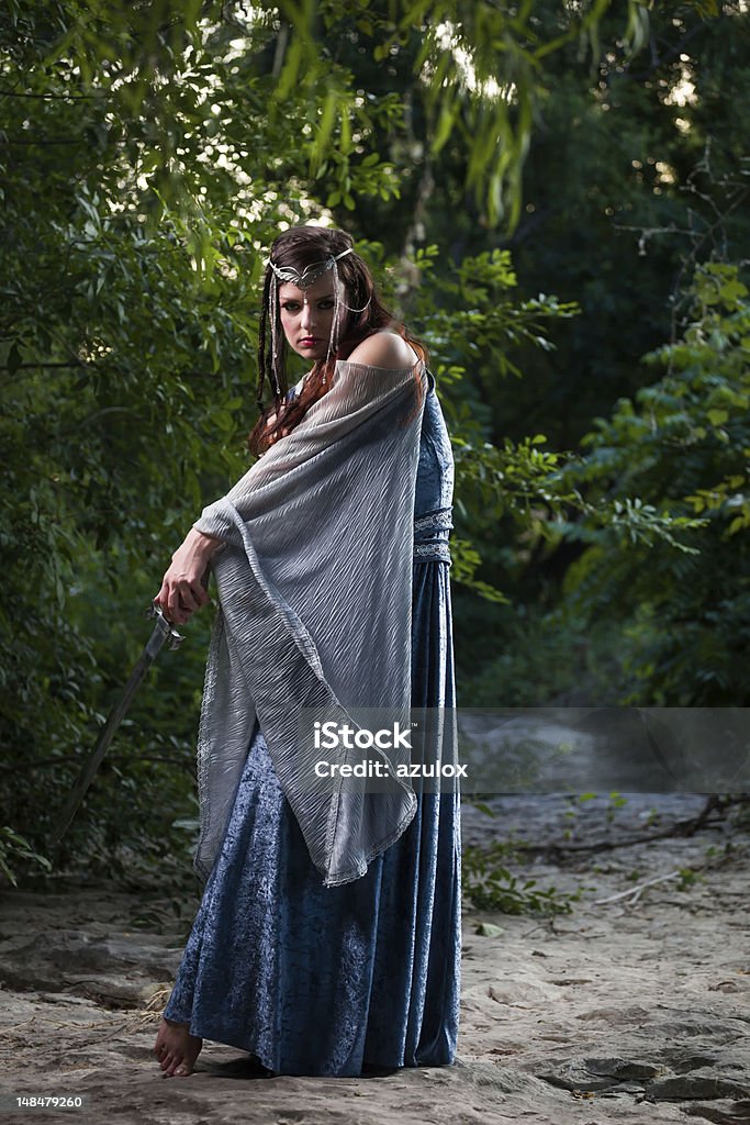 Medieval Warrior Princess Medieval Warrior Princess