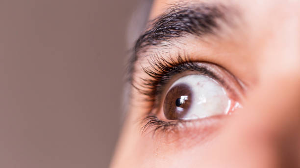 крупный план карего глаза мужчины - human eye stage makeup male macro стоковые фото и изображения