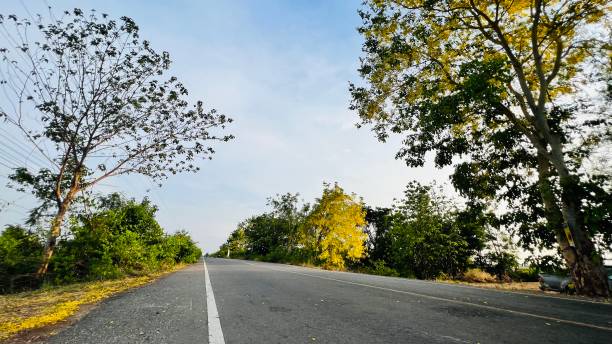 istock beautiful country road 1484796646