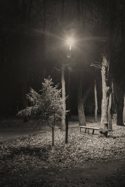 istock Central park in Kharkov in autumn season. 1484798222