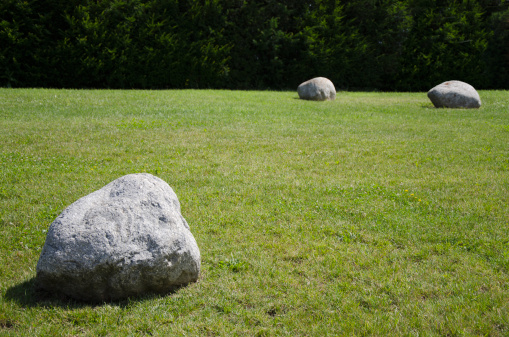 Three rocks on a beautiful green lawn.