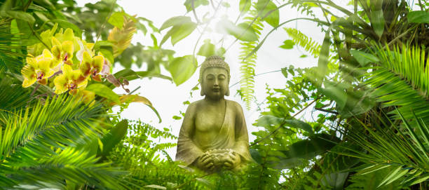 Free Stock Photo of Buddha Statue Surrounded by Green Leaves | Download ...