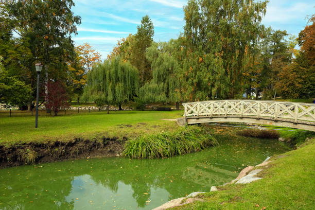 istock Autumn park in the town Cesis, latvia 1484807132
