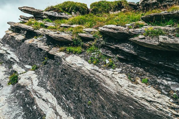 istock Summer mountain landscape with green grass and mountain peaks. 1484812607