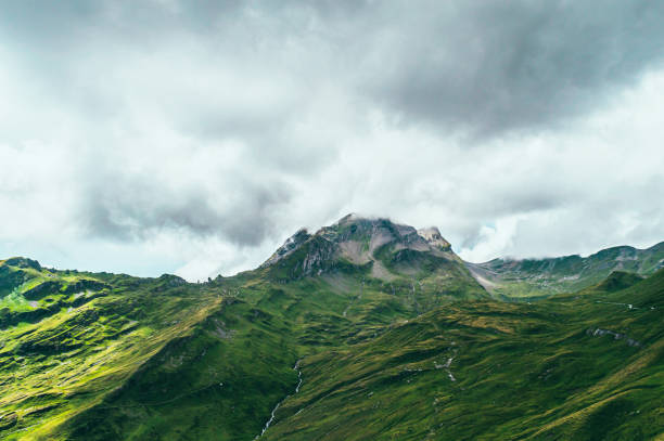 istock Summer mountain landscape with green grass and mountain peaks. 1484813463