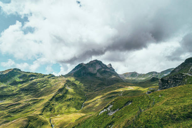 istock Summer mountain landscape with green grass and mountain peaks. 1484814714
