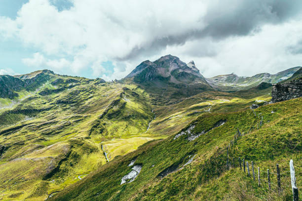 istock Summer mountain landscape with green grass and mountain peaks. 1484814717