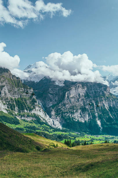 istock Summer mountain landscape with green grass and mountain peaks. 1484815263