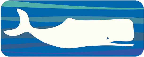 Vector illustration of moby dick