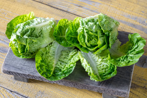 istock Heads of Romaine lettuce 1484828537