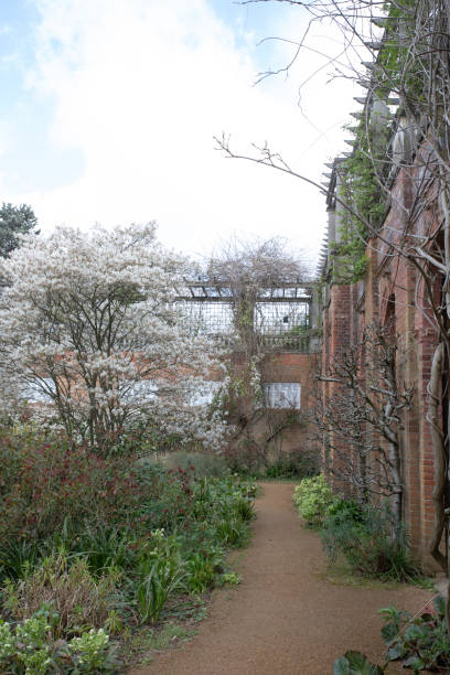 istock Hill Garden & Pergola Park in London 1484830083