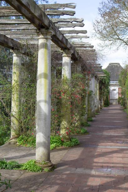 istock Hill Garden & Pergola Park in London 1484830084