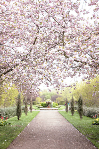 istock The Regents Park in London 1484830629