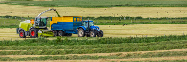 農業 - サイレージの収集 - silage field hay cultivated land ストックフォトと画像