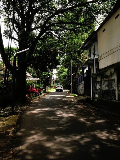 istock Road with lots of light 1484832351