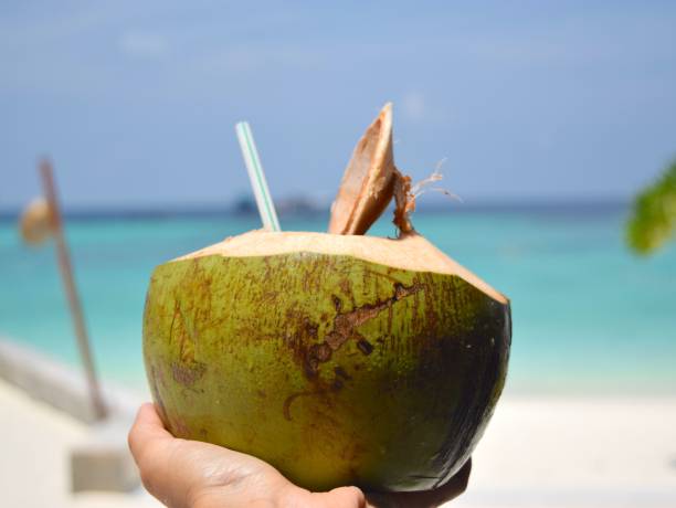 istock Coconut with straw on gorgeous beach. 1484838511