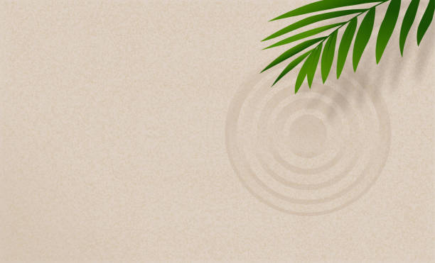 ヤシの葉を持つ禅の砂のパターン、滑らかな砂の表面の背景に円の線をかき集めた禅の庭、調和、瞑想、禅のようなコンセプト、夏のビーチでシンプルな精神的な砂浜のテクスチャー - arrangement asia backgrounds balance点のイラスト素材／クリップアート素材／マンガ素材／アイコン素材
