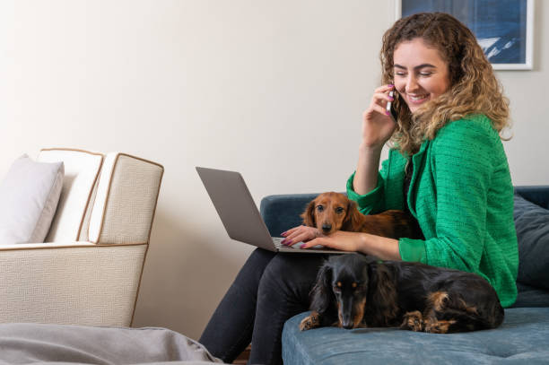 istock Woman working and two Dachshund dogs 1484839053