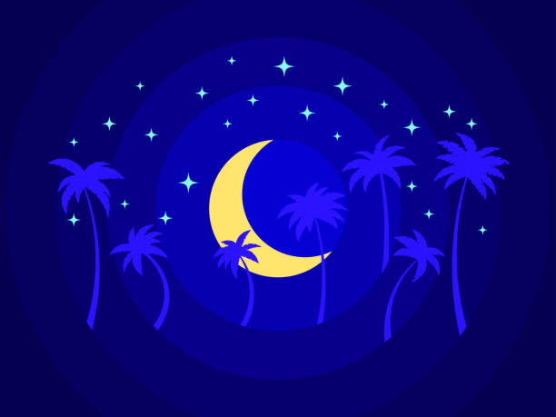 ilustrações de stock, clip art, desenhos animados e ícones de moon and palm trees in paper cut style. tropical night landscape with palm trees, crescent moon and stars. design for print, posters and banners. vector illustration - rainforest tropical rainforest forest moonlight