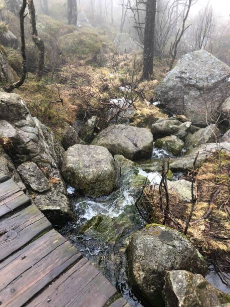 istock Mountain stream on the way to Preikestolen. 1484845206