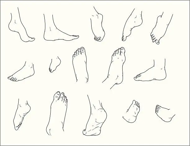 Vector illustration of Different Feet