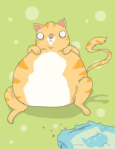 ilustraciones, imágenes clip art, dibujos animados e iconos de stock de mayor, fattest cat - fattest