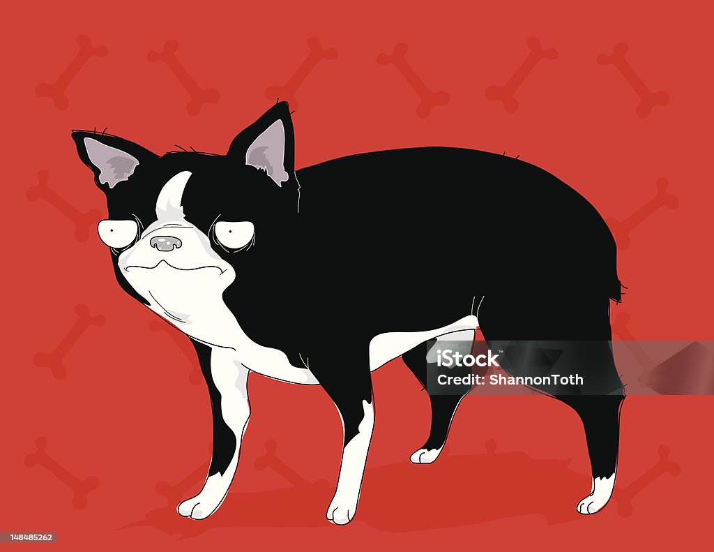 Unimpressed Boston Terrier This Boston terrier is looking quite unimpressed. Animal stock vector