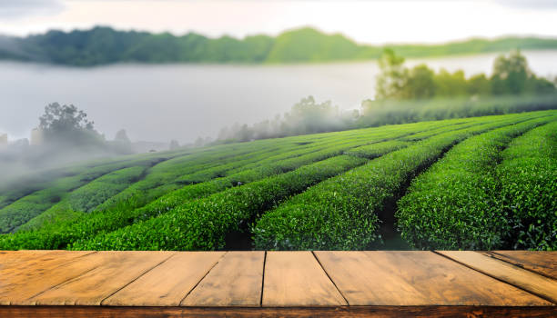 istock Empty wood table top and Tea farm background. 1484853362