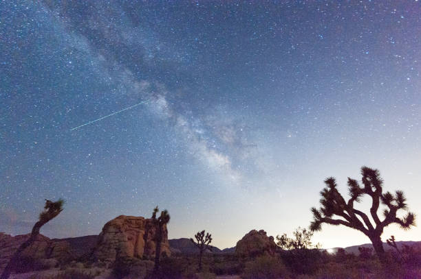 istock The Milky Way over Joshua Tree National Park 1484857177