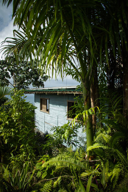 istock Typical Caribbean wooden houses 1484857466