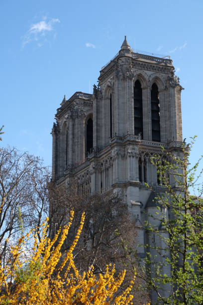 Notre Dame, Paris, France.