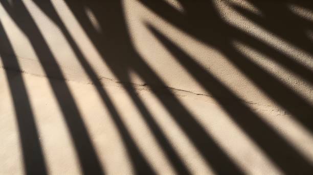 istock Shadow of floral patterns cast over a beige wall 1484862412