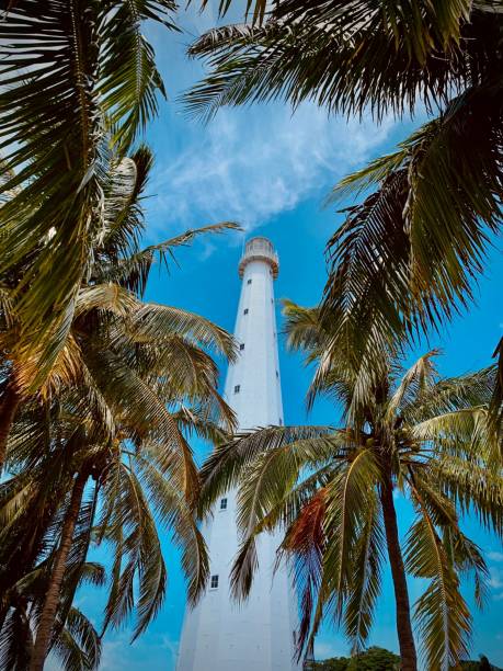 istock there is a tall white light tower surrounded by palm trees 1484862940