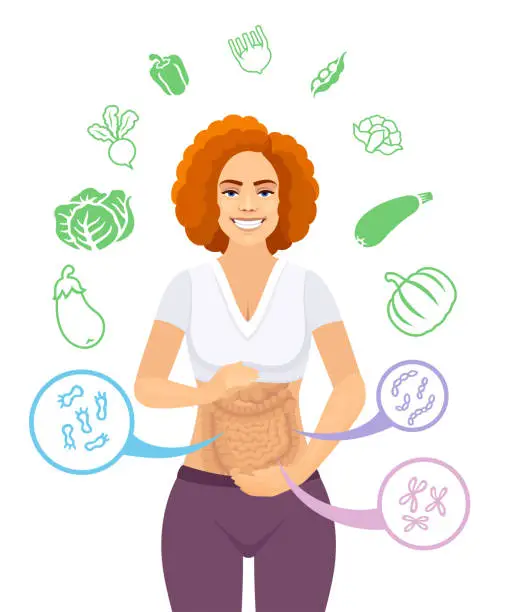 Vector illustration of Happy woman with balanced gut flora.