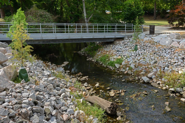 pedestrian bridge over green mill run creek, elm street park to college hill on east carolina universitys campus. greenville, north carolina - run of the mill imagens e fotografias de stock