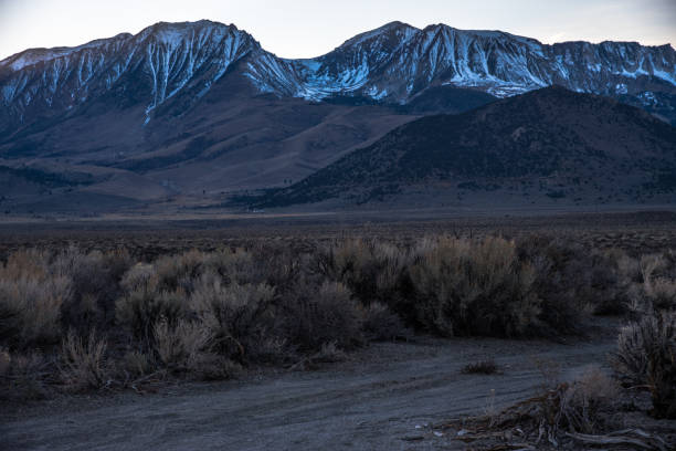 istock Highway 108 Mono Lake My Front Yard 1484870074