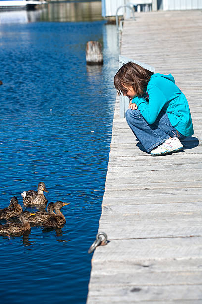 istock Girl and ducks in water. 148487155