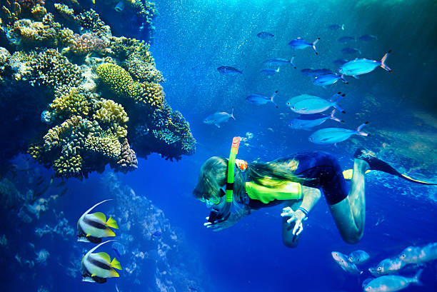 istock Group of coral fish in  blue water. 148487298